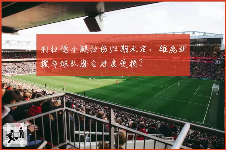 利拉德小腿拉伤归期未定,雄鹿新援与球队磨合进度受损?