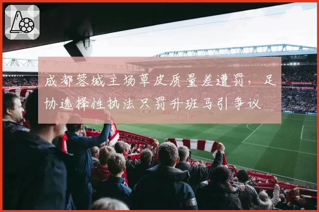 成都蓉城主场草皮质量差遭罚，足协选择性执法只罚升班马引争议