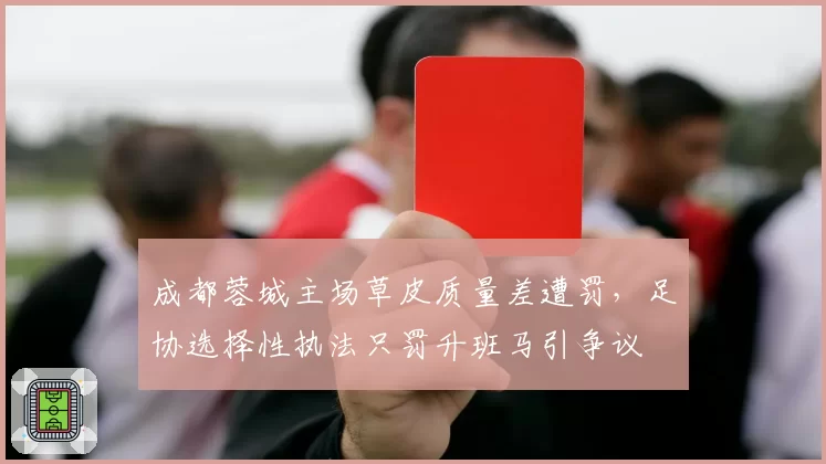 成都蓉城主场草皮质量差遭罚，足协选择性执法只罚升班马引争议