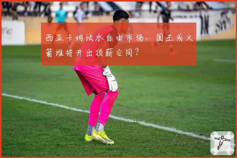 西亚卡姆试水自由市场，国王或火箭谁将开出顶薪合同？